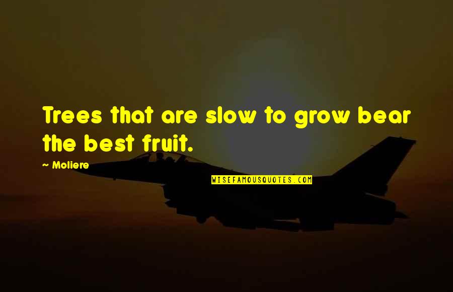 Fruit Inspirational Quotes By Moliere: Trees that are slow to grow bear the
