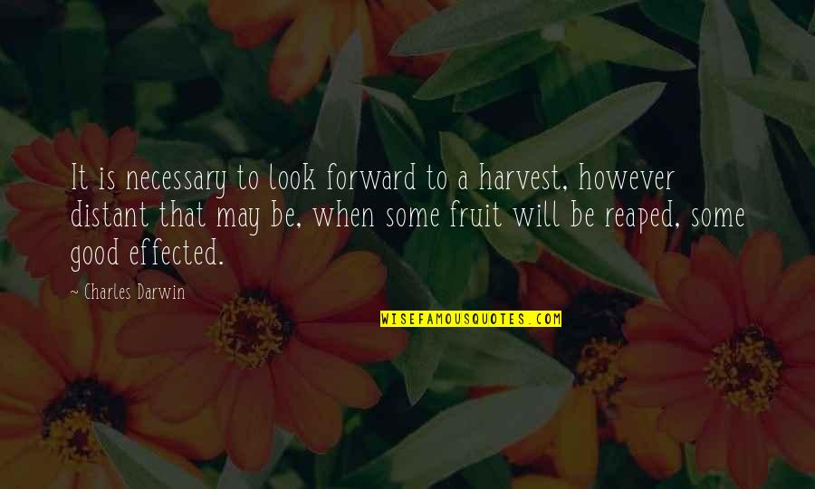 Fruit Motivational Quotes By Charles Darwin: It is necessary to look forward to a Fruit Motivational Quotes By Charles Darwin: It is necessary to look forward to a