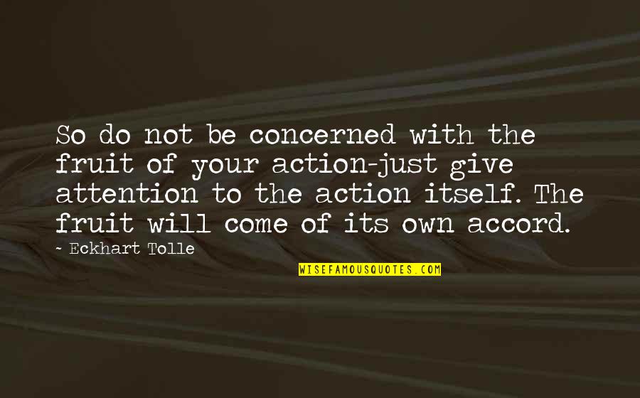 Fruit Of Action Quotes By Eckhart Tolle: So do not be concerned with the fruit