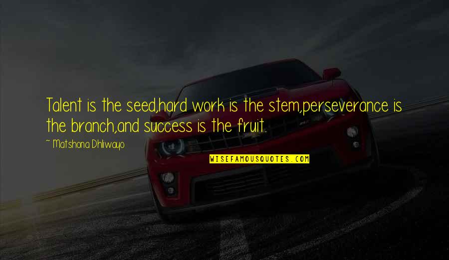 Fruit Of Your Hard Work Quotes By Matshona Dhliwayo: Talent is the seed,hard work is the stem,perseverance