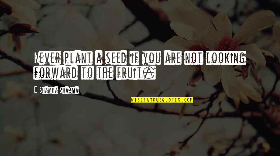Fruit Wisdom Quotes By Shampa Sharma: Never plant a seed if you are not