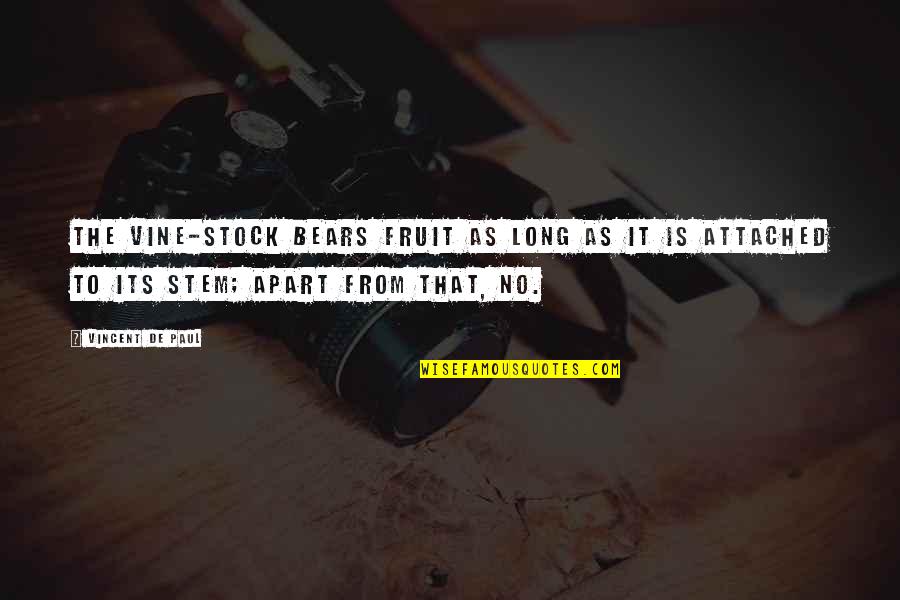 Fruit Wisdom Quotes By Vincent De Paul: The vine-stock bears fruit as long as it