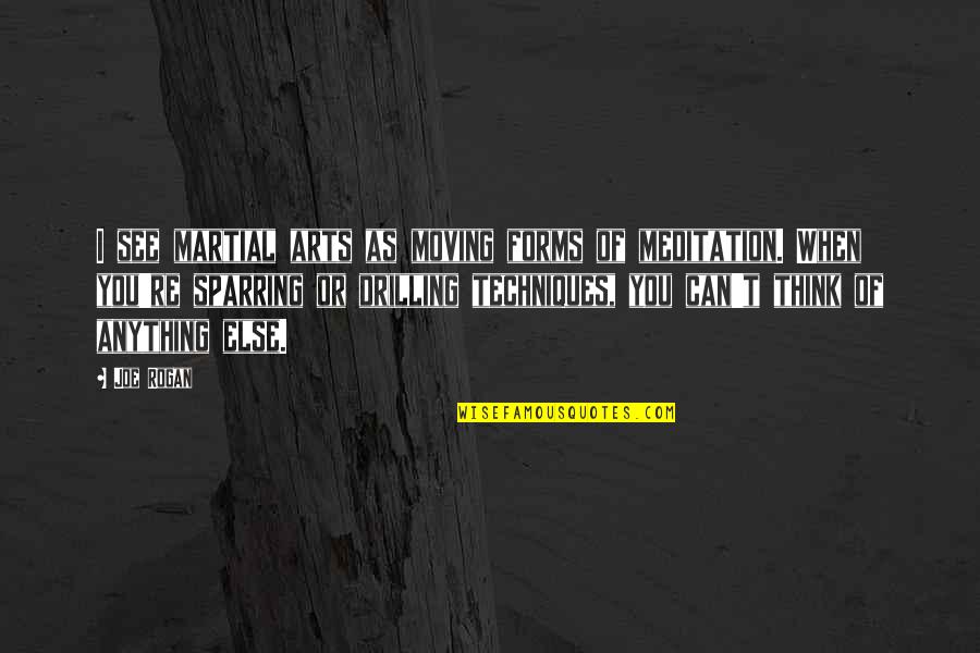 Fruitiere Quotes By Joe Rogan: I see martial arts as moving forms of Fruitiere Quotes By Joe Rogan: I see martial arts as moving forms of
