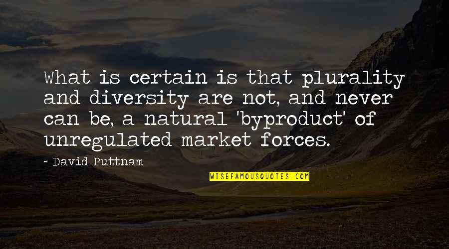 Fruitmanden Quotes By David Puttnam: What is certain is that plurality and diversity