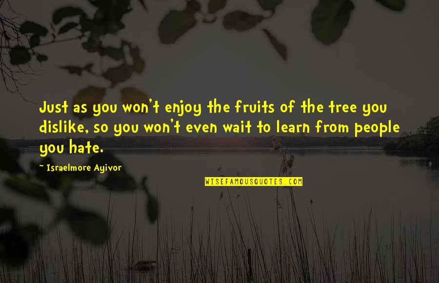 Fruits And Love Quotes By Israelmore Ayivor: Just as you won't enjoy the fruits of