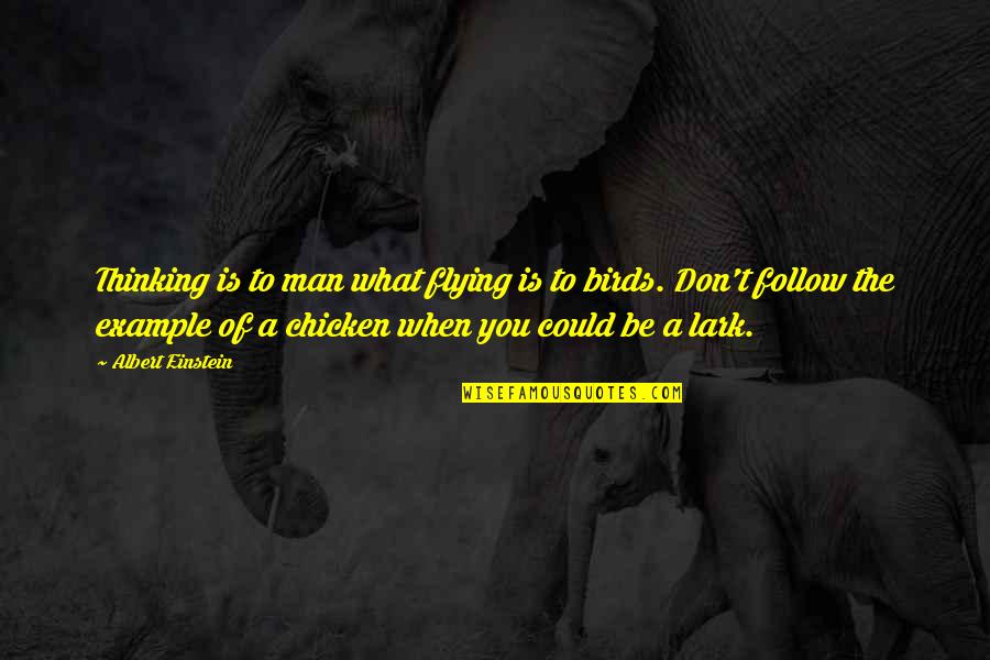 Fruits And Vegetables Quotes By Albert Einstein: Thinking is to man what flying is to Fruits And Vegetables Quotes By Albert Einstein: Thinking is to man what flying is to