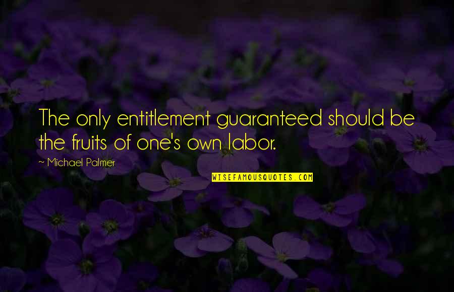 Fruits Of Your Labor Quotes By Michael Palmer: The only entitlement guaranteed should be the fruits