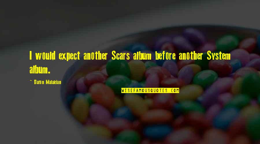 Fruity Pebble Quotes By Daron Malakian: I would expect another Scars album before another