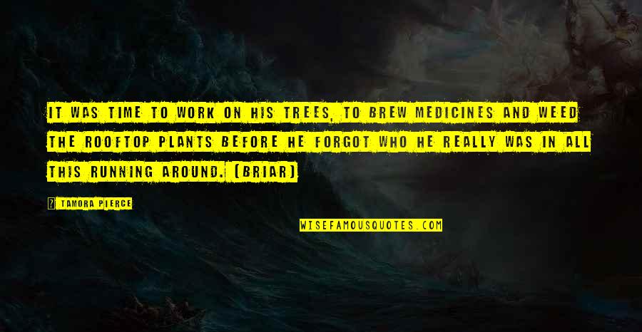 Frumple Queen Quotes By Tamora Pierce: It was time to work on his trees, Frumple Queen Quotes By Tamora Pierce: It was time to work on his trees,