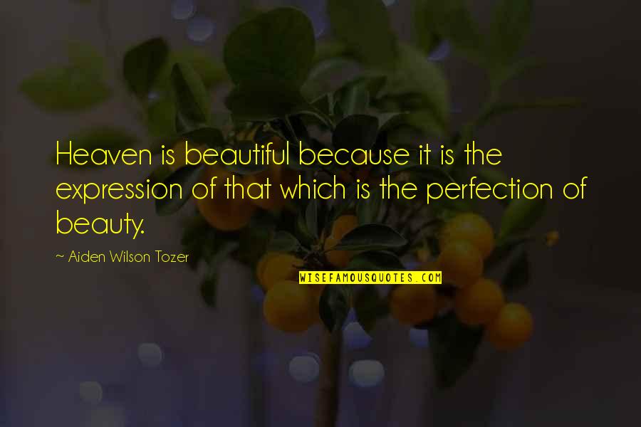 Frustracion Concepto Quotes By Aiden Wilson Tozer: Heaven is beautiful because it is the expression Frustracion Concepto Quotes By Aiden Wilson Tozer: Heaven is beautiful because it is the expression