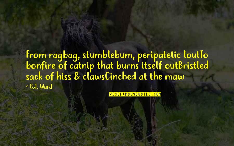 Frustrated At Work Quotes By B.J. Ward: From ragbag, stumblebum, peripatetic loutTo bonfire of catnip Frustrated At Work Quotes By B.J. Ward: From ragbag, stumblebum, peripatetic loutTo bonfire of catnip