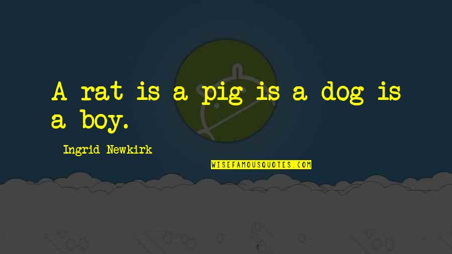 Frustrated With Friends Quotes By Ingrid Newkirk: A rat is a pig is a dog Frustrated With Friends Quotes By Ingrid Newkirk: A rat is a pig is a dog