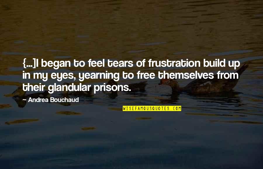 Frustration Quotes By Andrea Bouchaud: {...]I began to feel tears of frustration build