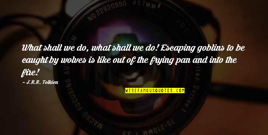 Frying Quotes By J.R.R. Tolkien: What shall we do, what shall we do!