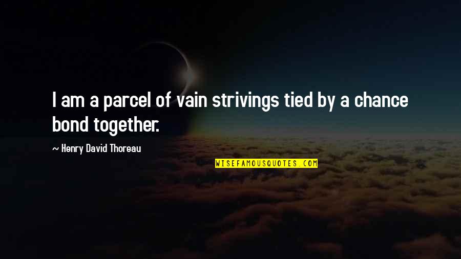 Fsu Quotes By Henry David Thoreau: I am a parcel of vain strivings tied
