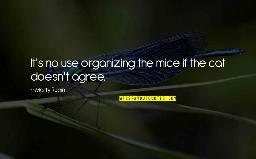 Fucili Giocattolo Quotes By Marty Rubin: It's no use organizing the mice if the