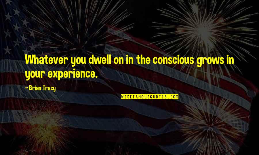 Fudoshin Dojo Quotes By Brian Tracy: Whatever you dwell on in the conscious grows