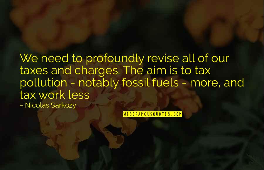 Fuels Quotes By Nicolas Sarkozy: We need to profoundly revise all of our