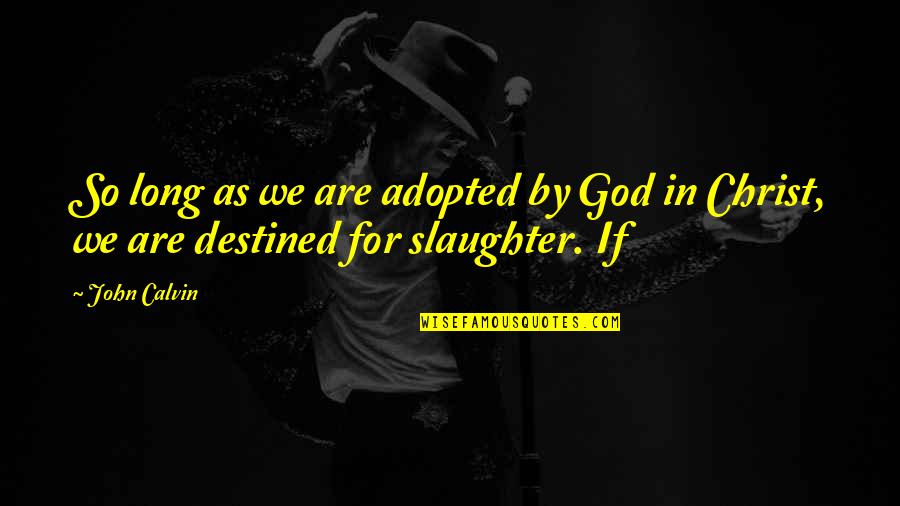 Fuhgeddaboutit Quotes By John Calvin: So long as we are adopted by God