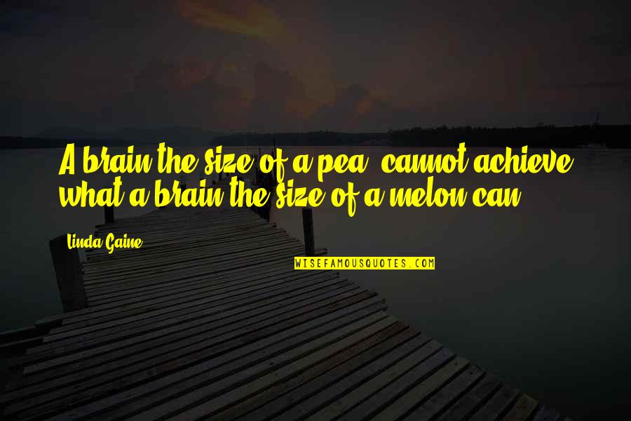 Fuiste Quotes By Linda Gaine: A brain the size of a pea, cannot