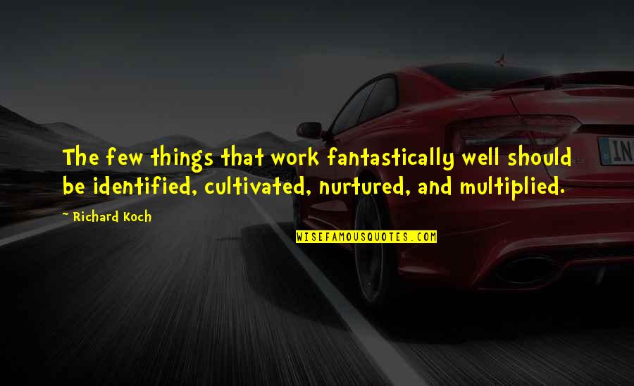 Fujito Chiyuki Quotes By Richard Koch: The few things that work fantastically well should Fujito Chiyuki Quotes By Richard Koch: The few things that work fantastically well should