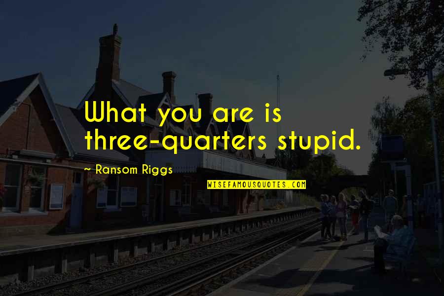 Fukuchi Tsubasa Quotes By Ransom Riggs: What you are is three-quarters stupid. Fukuchi Tsubasa Quotes By Ransom Riggs: What you are is three-quarters stupid.