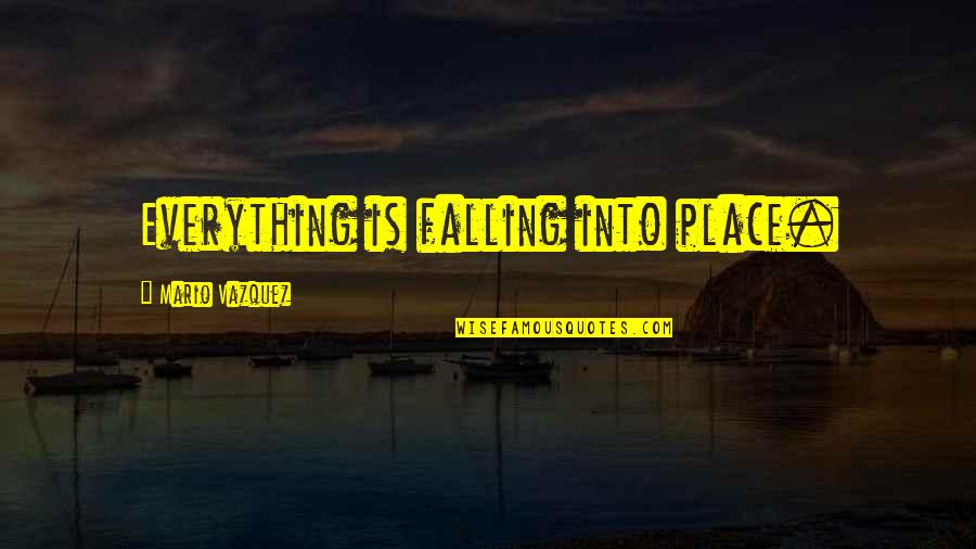 Fulanos Leucadia Quotes By Mario Vazquez: Everything is falling into place.