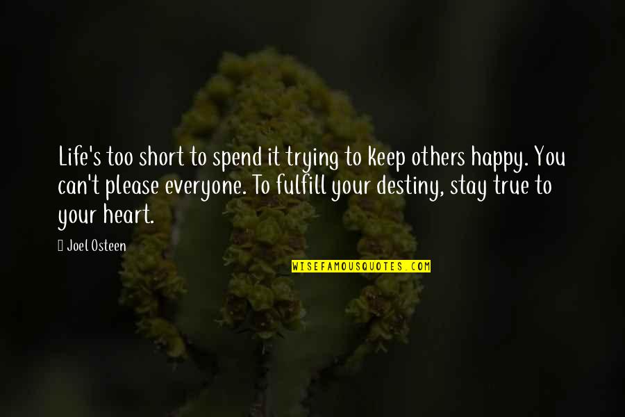 Fulfill Your Destiny Quotes By Joel Osteen: Life's too short to spend it trying to