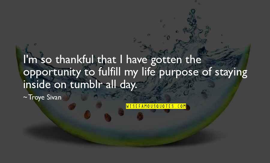 Fulfill Your Purpose Quotes By Troye Sivan: I'm so thankful that I have gotten the