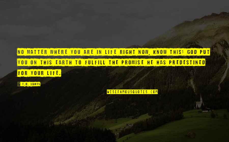 Fulfill'd Quotes By T.D. Jakes: No matter where you are in life right Fulfill'd Quotes By T.D. Jakes: No matter where you are in life right