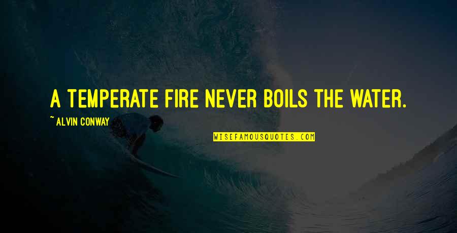 Fulfilling Potential Quotes By Alvin Conway: A temperate fire never boils the water.