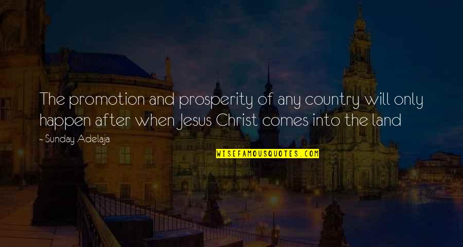 Fulfillment In Christ Quotes By Sunday Adelaja: The promotion and prosperity of any country will