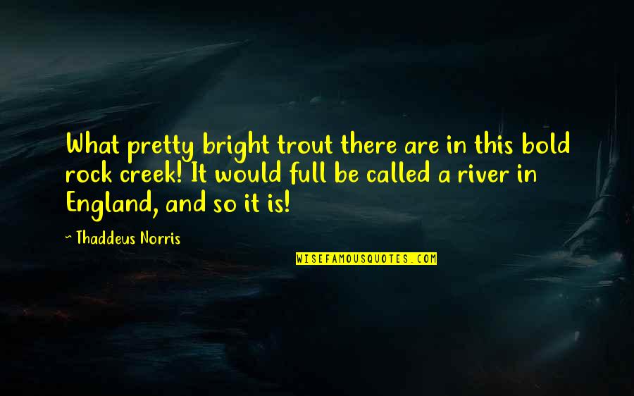 Full Bright Quotes By Thaddeus Norris: What pretty bright trout there are in this