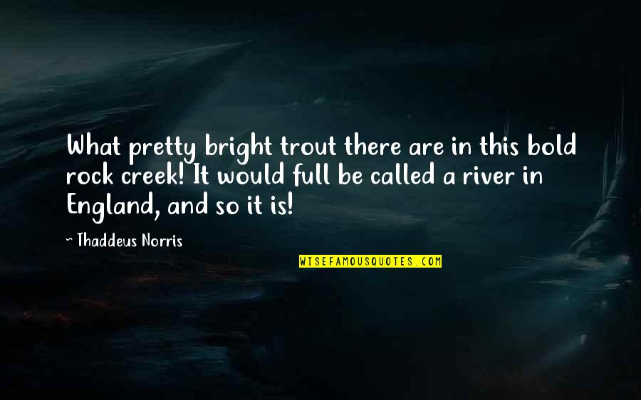 Full Is Quotes By Thaddeus Norris: What pretty bright trout there are in this Full Is Quotes By Thaddeus Norris: What pretty bright trout there are in this
