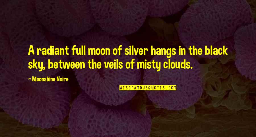 Full Moon Night Sky Quotes By Moonshine Noire: A radiant full moon of silver hangs in