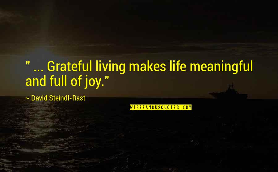 Full Of Gratitude Quotes By David Steindl-Rast: " ... Grateful living makes life meaningful and