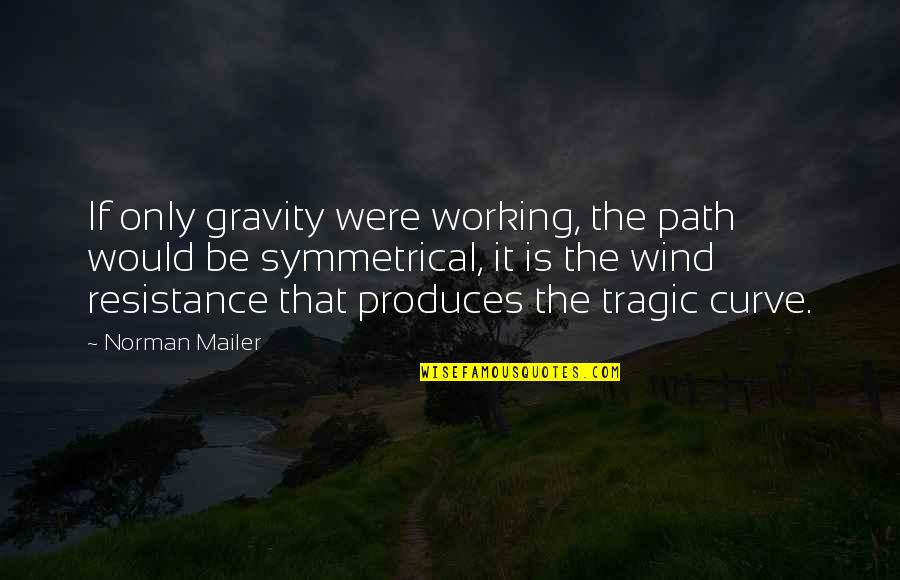 Full Respray Quotes By Norman Mailer: If only gravity were working, the path would