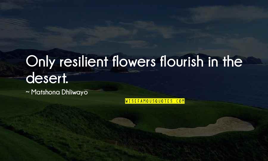Fullish Quotes By Matshona Dhliwayo: Only resilient flowers flourish in the desert.