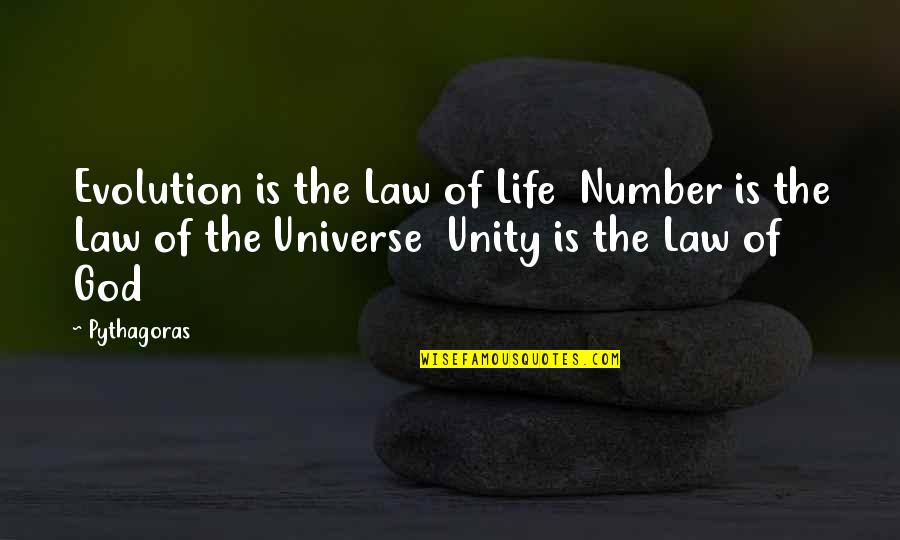 Fully Rely On God Quotes By Pythagoras: Evolution is the Law of Life Number is