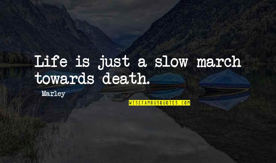 Fulmination Quotes By Marley: Life is just a slow march towards death.