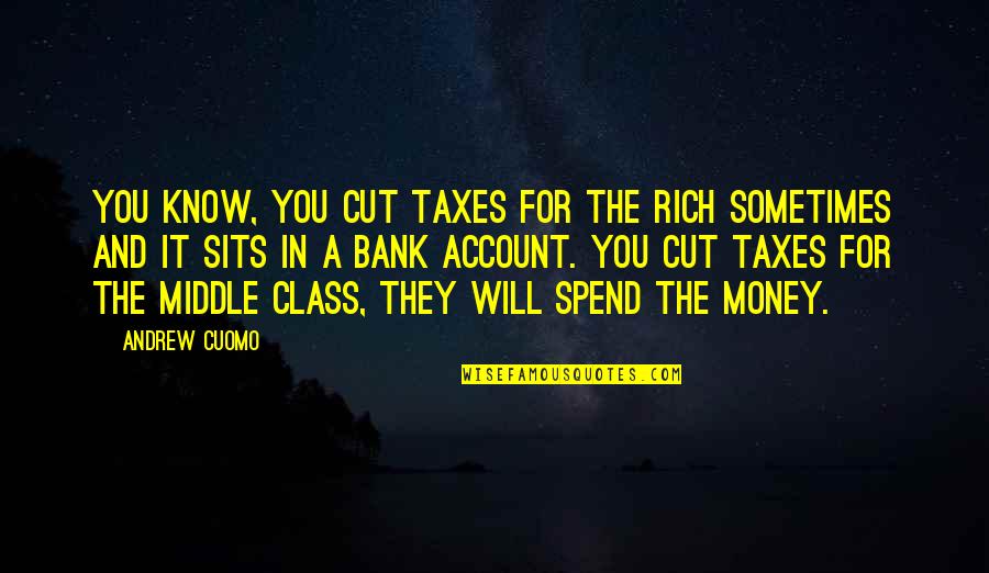 Fumero Brooklyn Quotes By Andrew Cuomo: You know, you cut taxes for the rich