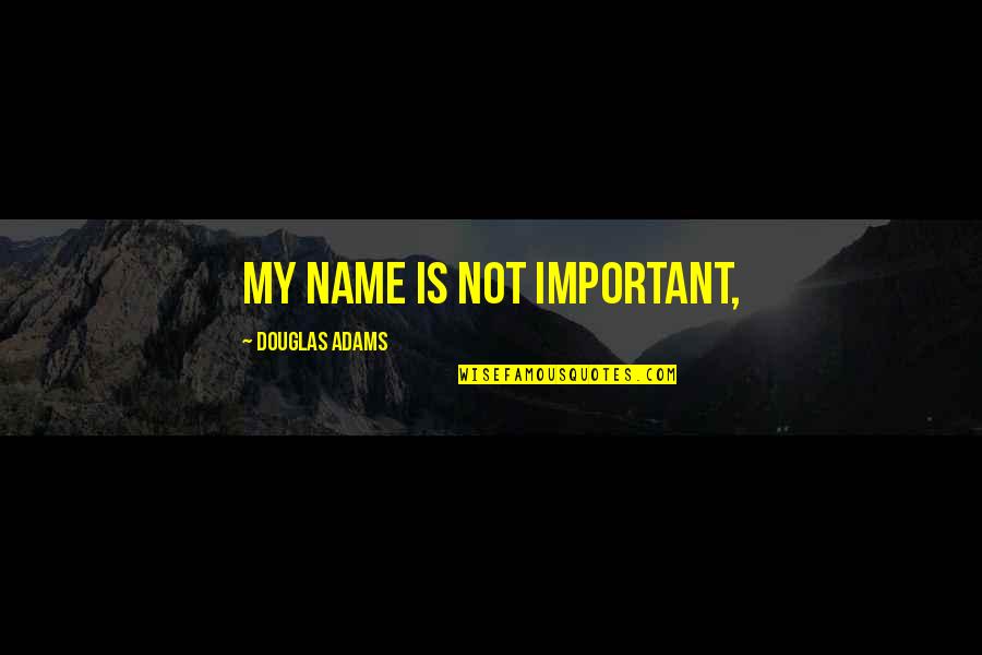 Fumero Brooklyn Quotes By Douglas Adams: My name is not important,
