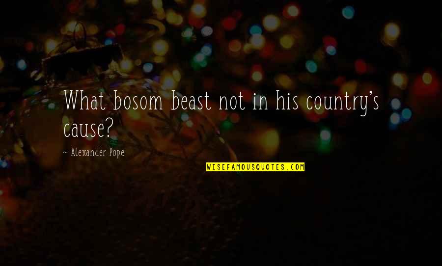 Fumes From Windmills Quotes By Alexander Pope: What bosom beast not in his country's cause?