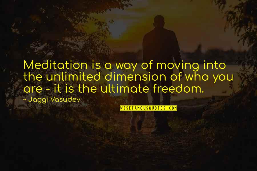 Fun Eyewear Quotes By Jaggi Vasudev: Meditation is a way of moving into the
