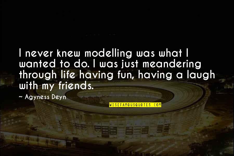 Fun With My Friends Quotes By Agyness Deyn: I never knew modelling was what I wanted