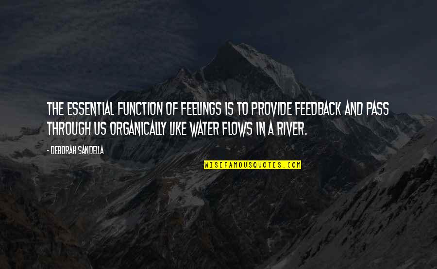Function Quotes By Deborah Sandella: The essential function of feelings is to provide