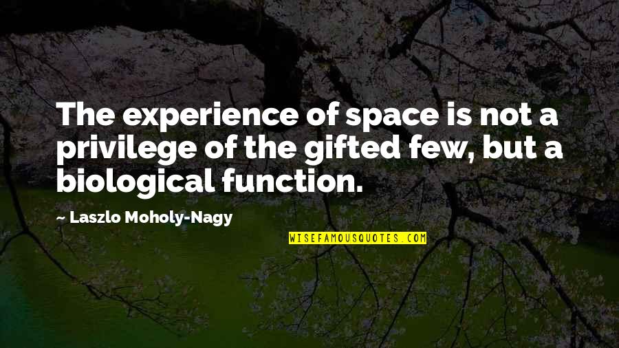 Function Quotes By Laszlo Moholy-Nagy: The experience of space is not a privilege