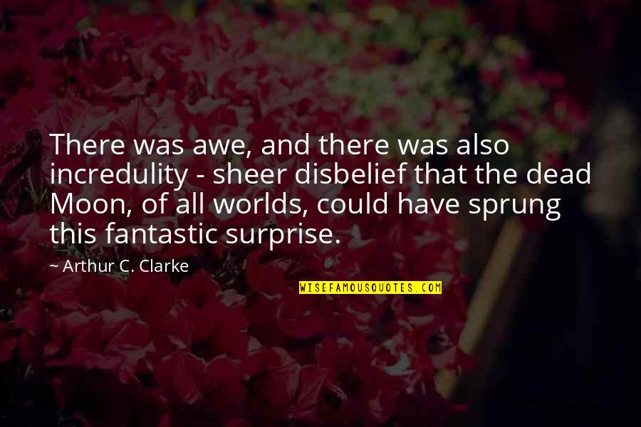 Functionary Crossword Quotes By Arthur C. Clarke: There was awe, and there was also incredulity