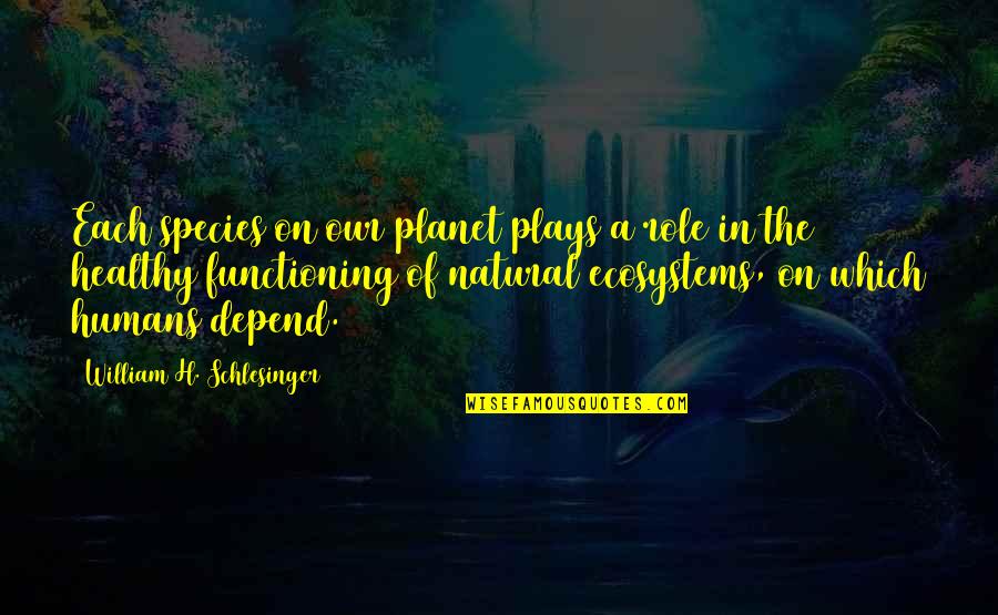 Functioning Quotes By William H. Schlesinger: Each species on our planet plays a role