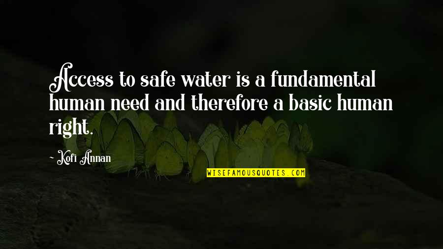 Fundamental Human Needs Quotes By Kofi Annan: Access to safe water is a fundamental human